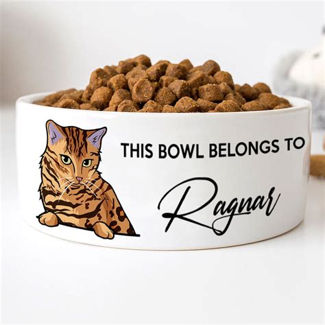 Personalized Custom Cat Bowls, This Bowl Belongs To, Gift for Cat Love ...