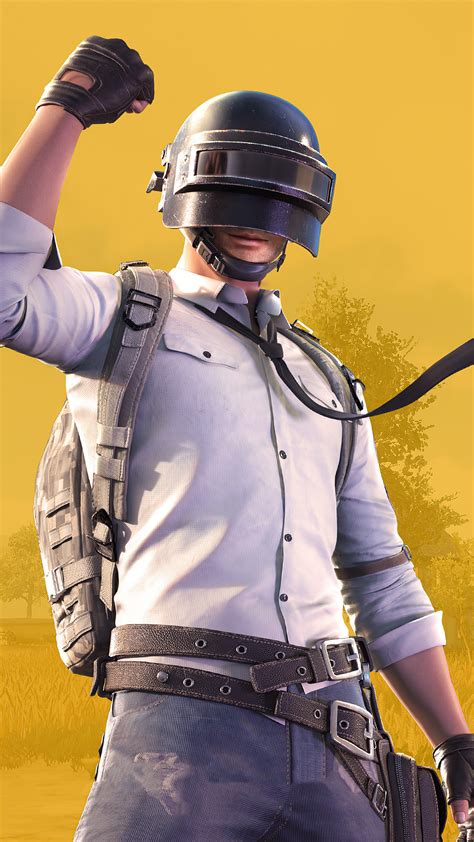 1080x1920 Pubg Helmet Guy 2020 4k Iphone 76s6 Plus Pixel Xl One Plus 33t5 Hd 4k