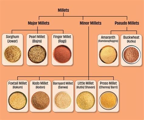 Pin On Millets In Charts Diagrams