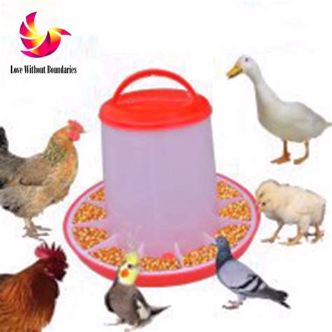 Placed In A Large Cage Automatic Feeding Device For Birds And Chickens