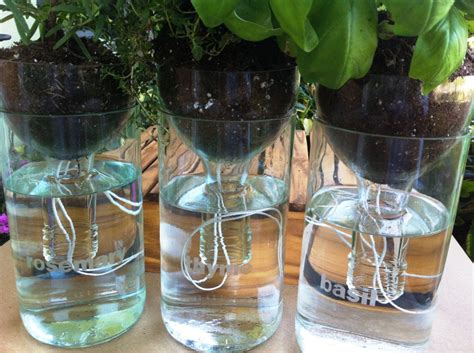 Set Of Three 3 Self Watering Planters Made With Recycled Wine Bottles