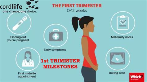 1st Trimester milestones | PPT