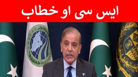 PM Shehbaz Sharif Says Terrorism Should Be Condemned In Unambiguous