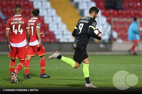 Liga Nos Desp Aves X Rio Ave Fotos Zerozero Pt