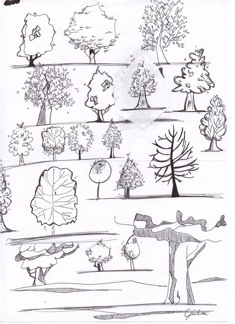 Architecture Drawing Trees on Behance