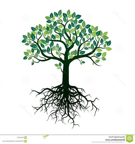 Tree Roots Vector At Getdrawings Free Download