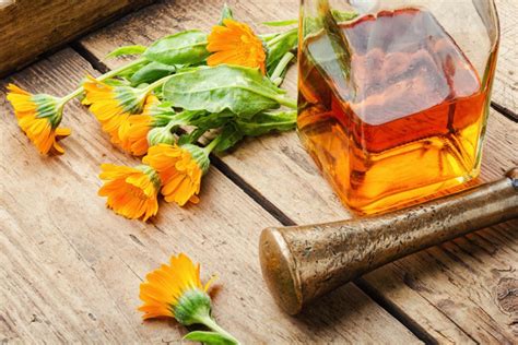 Calendula proprietà uso controindicazioni Cure Naturali it