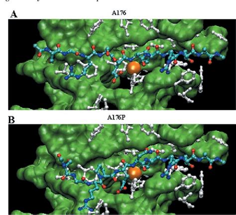 Figure From A Unique Substrate Binding Mode Discriminates Membrane