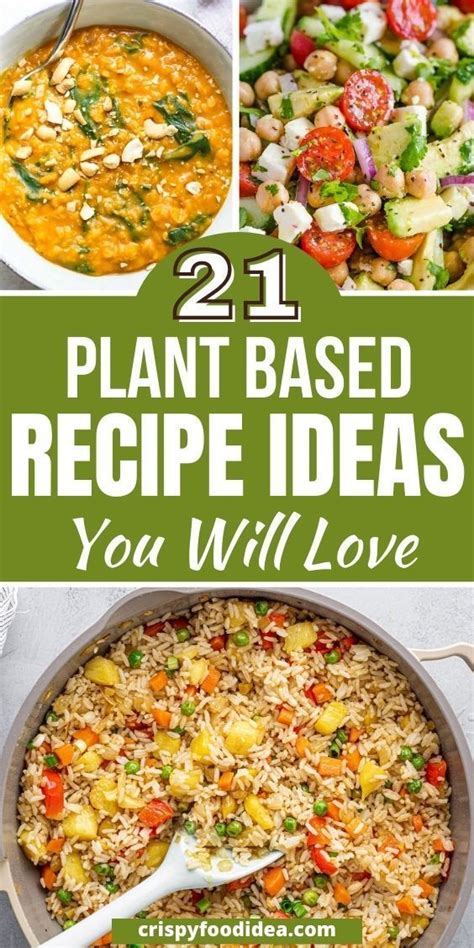 21 Healthy Plant Based Meals That You Will Love Healthy Plant Based Recipes Plant Based Diet