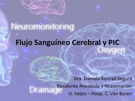 Flujo Sangu Neo Cerebral Ppt