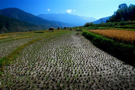 Travellers' Guide To Bhutan - Wiki Travel Guide - Travellerspoint