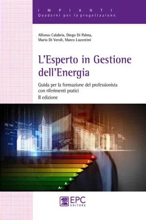 Pdf L Esperto In Gestione Dell Energia Di Alfonso Calabria