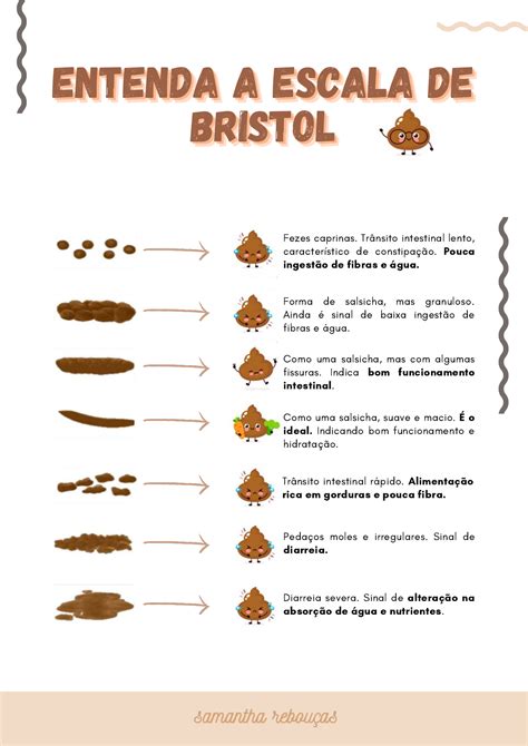 Escala de Bristol o que as fezes revelam sobre a saúde intestinal e a