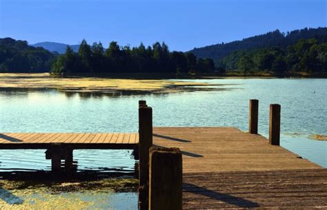 Imagen Gratis Monta A Lago Muelle Agua Madera Bosque