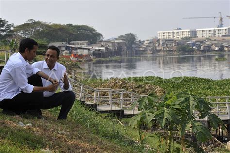 Jokowi Berkunjung Ke Waduk Pluit Antara Foto