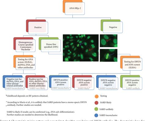 Speckled Antinuclear Antibody