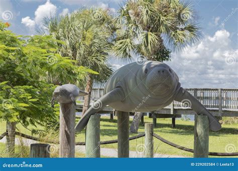 Manatee Sanctuary Park -- Statue of Manatees at Cape Canaveral Florida ...