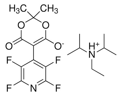 N Ethyl N Isopropylpropan Aminium Dimethyl Oxo