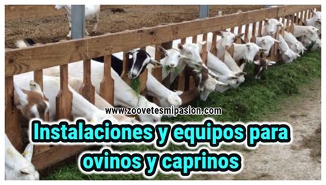 Instalaciones Y Equipos Para Ovinos Y Caprinos Instalacion Equipo