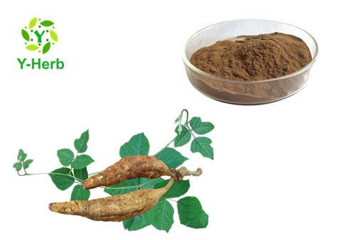 Cas Pueraria Mirifica Kudzu Root Extract Powder Hplc Uv