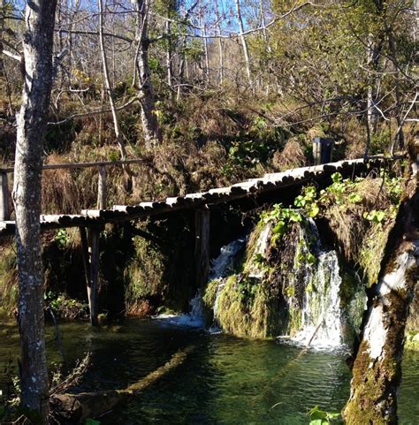 Why You Should Visit Plitvice Lakes in Croatia | The Restless Worker