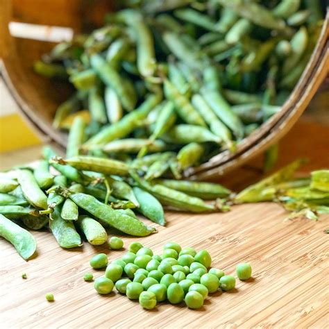 How To Cook With Fresh Garden Peas