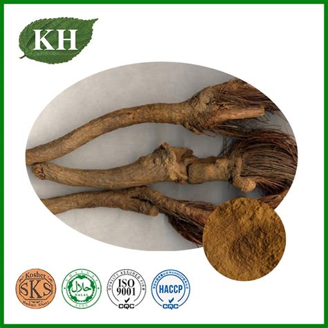 Rhaponticum Carthamoides Extract Maral Root Extract China Herbal