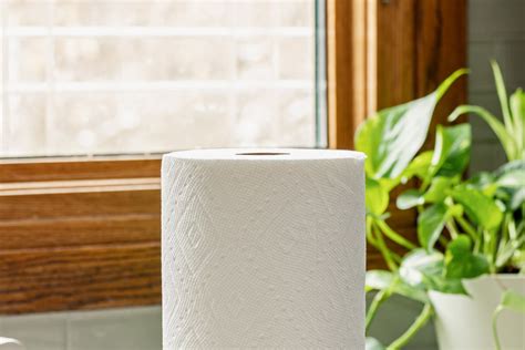 8 Other Ways to Use Paper Towels in the Kitchen | The Kitchn