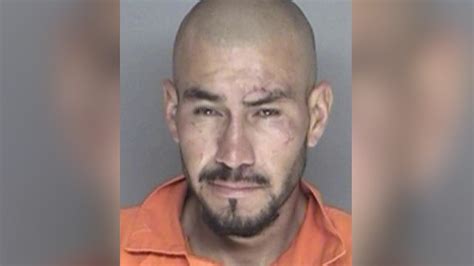 Illegal Immigrant In Custody For Killing Woman With Hammer Fox News Video