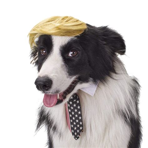 Donald Trump Wig Dog Costume