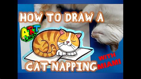 How To Draw A Cat Napping Youtube