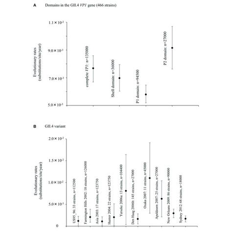 Evolutionary Rates Of Nucleotide Sequences In The Full Length Gii