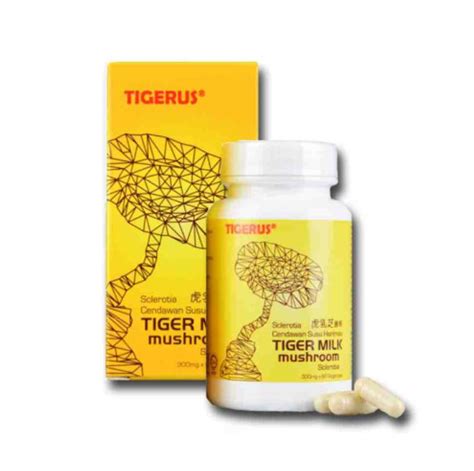 Tigerus Tiger Milk Mushroom Capsules /Holla Tiger milk Mushroom with ...