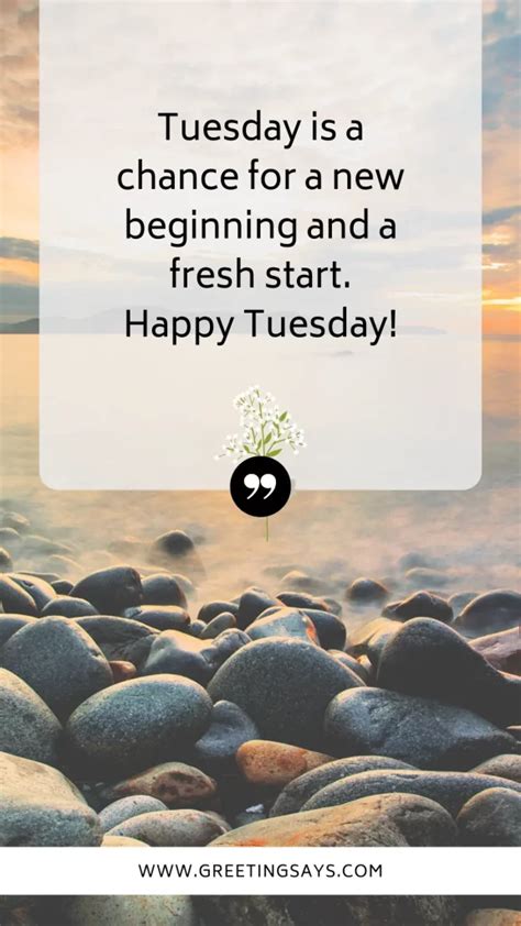 Happy Tuesday Morning Quotes - Greeting Says