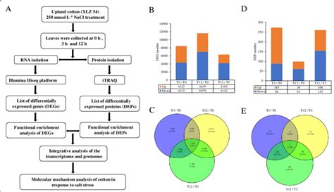 Identification Of Differentially Expressed Genes Degs And Proteins