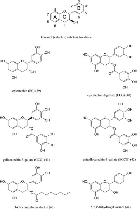 Chemical Structures Of Flavanols Catechins Download Scientific Diagram