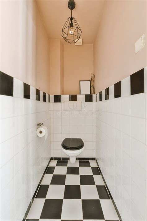 A Bathroom with a Toilet and Black and White Tiles Stock Image - Image ...