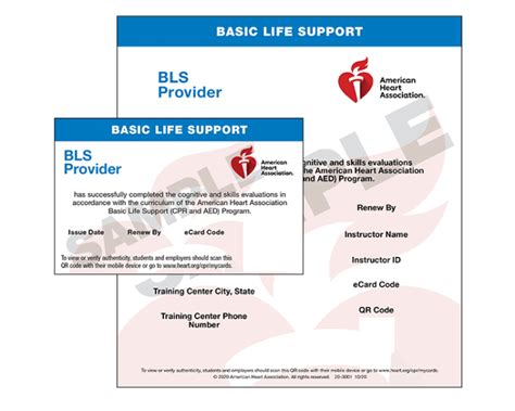 Aha Bls Certification And Renewal In San Francisco Cpr Aed Live