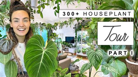 300 Houseplant Tour 🌿 2023 Plant Collection Home Tour Rare And Common 🌱 Part 1 In 2023