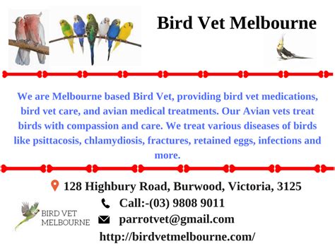 Bird Vet Melbourne - Bird Vet Melbourne : r/veterinarians