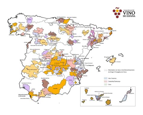 Pueblos con viñedo mantienen mayor porcentaje de población - ENCLM