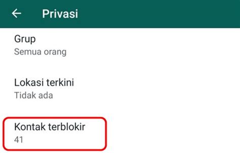 Cara Menampilkan Nama Kontak WhatsApp Yang Tidak Muncul