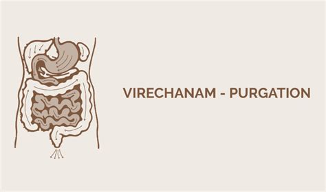 Panchakarma Therapy in San Diego, Mission Hills | AyurVida Wellness ...