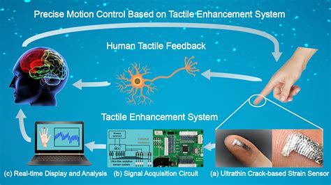 Highly sensitive sensors show promise in enhancing human touch