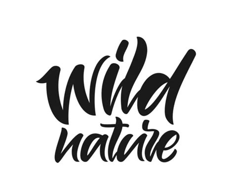 Vector Illustration Handwritten Brush Type Lettering Of Wild And Free