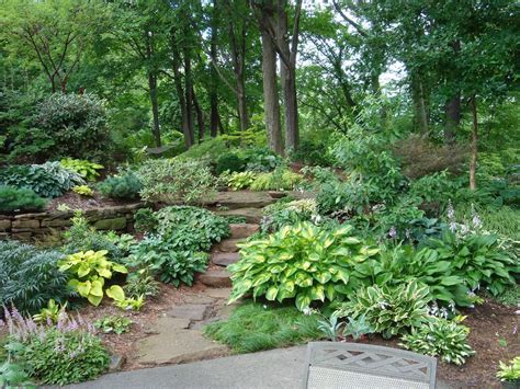 23 Hosta Garden Ideas To Consider SharonSable