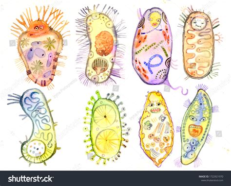 Bacteria Microbes Unicellular Organisms Watercolor Illustration Stock Illustration 1722921970