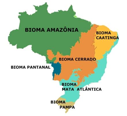 Atividade sobre os Biomas Brasileiros - 4º e 5º ano - Com gabarito