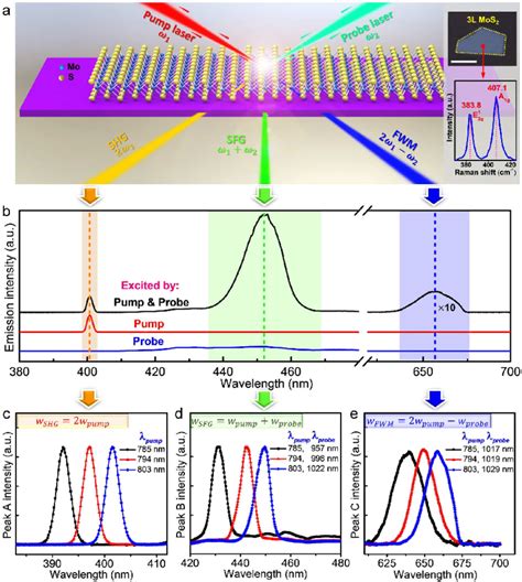 Multimodal Nonlinear Optical Spectral Analyses Of A Few Layer Mos