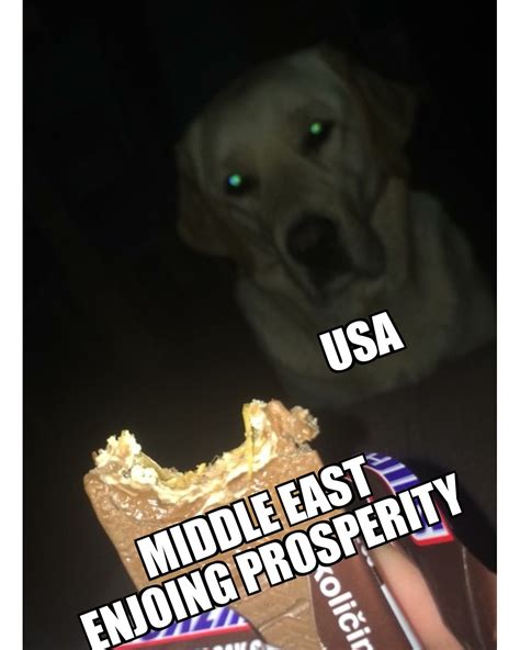 Ps my friends dog super cute super fat meme format also : r/HistoryMemes